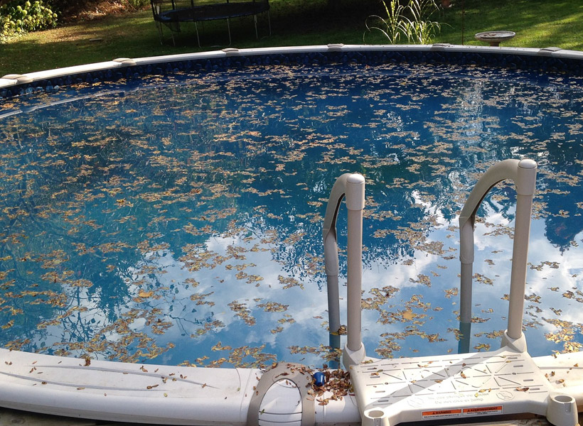 the hidden costs of neglecting pool maintenance